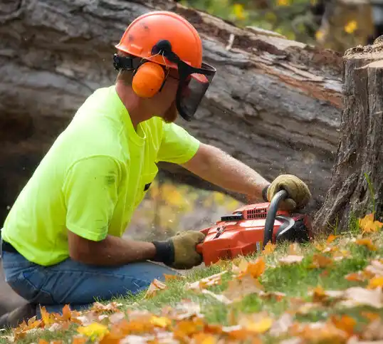 tree services University Park